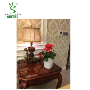 Haute Qualité Plasticas Auto Arrosage Pot Bonsaï Pot En Plastique Meilleur Sol Rond Pot De Fleurs - Product Image 5