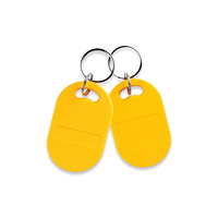 Contrôle d'accès ISO14443A 13,56 MHz Porte-clés RFID MFDes Fire EV3 2K 4K 8K Porte-clés RFID Porte-clés ABS Logo personnalisé