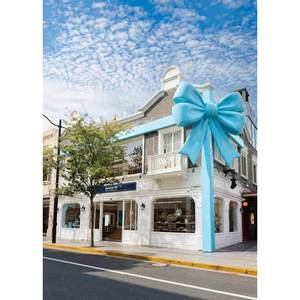 Escultura Gigante de Lazo de Fibra de Vidrio Azul Claro de 6.5M X 4.5M para Decoración Comercial de Fachadas de Tiendas - Product Image 1
