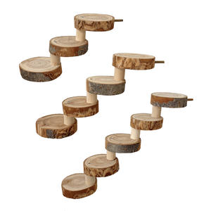 Échelle d'escalade pour hamster, jouet pour hamster syrien doré, à mâcher et à affûter les dents, escalier paysager, marches, plateforme ronde en bois massif - Product Image 5
