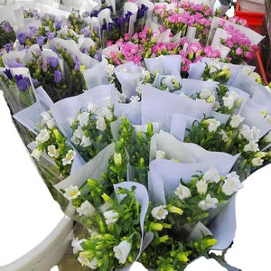 Arreglo Floral Seco Natural de Hierba de Pampas de Yunnan Kunming, Hecho a Mano, Moderno, para Bodas, Día de la Madre, Graduación, Navidad - Product Image 2