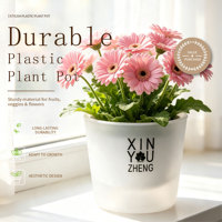 Pot de fleurs auto-arrosant en PP durable avec trou de drainage, design minimaliste double couche, capacité de 1,06 L pour jardin, maison et bureau