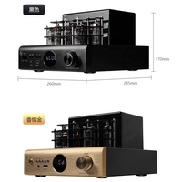 Mableaudio AV-2080R Gerçek Tüp Amplifikatör 200W 2.1 Kanal Alüminyum Alaşımlı Ev Tipi Kablosuz Hi-Fi Kayıpsız Karaoke 4.3KG