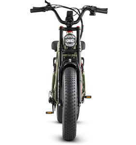 Bicicleta Eléctrica de Montaña Eahora Juliet, 250W, 52V, Todoterreno, Llantas Anchas, Cuadro de Acero, 20 Pulgadas, para Adultos, Aventura - Product Image 3