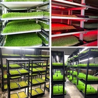 IP65 Led élèvent la barre lumineuse T8 T10 T12 Tube spectre blanc 9000k culture du maïs et de l'orge