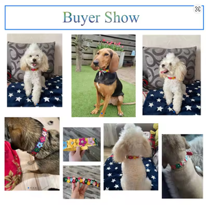 Flores mascota perro Collar <span class=keywords><strong>Correa</strong></span> PU cuero gato Collier cadena cuello <span class=keywords><strong>correa</strong></span> <span class=keywords><strong>para</strong></span> Pequeño medio grande Animal Teddy Chihuahua Pug moda - Product Image 5