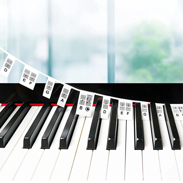 Top Sell Wholesale Creative Silicone Piano Sticker For Beginners 61/88 Full-Size Piano Keyboard Notes Labels For Kids