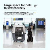 Grand transporteur d'animaux de compagnie portable et respirant en polypropylène, avec fenêtre en plastique, rigide, rectangulaire, couleur unie, pour chiens et chats