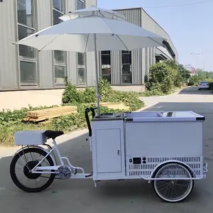 पार्क पार्टी वेंडिंग स्ट्रीट खाद्य उपयोग आउटडोर मोबाइल आइसक्रीम ट्रक गाड़ी कियोस्क वैन कारखाने सड़क खाद्य गाड़ियां