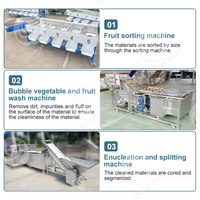ORME Automatische Natuurlijke Fruitverse Sinaasappel Mango Sap Maak Plant Machine Proces Sap Productielijn Prijs