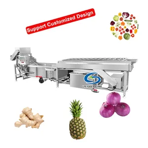 CE Approved Automatic Pineapple Wash Washer Onion Cleaning Turmeric Washing Machine