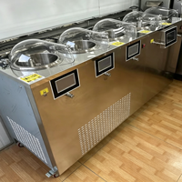 Macchina Automatica Professionale per Gelato Artigianale Italiano a Doppio Cilindro con Display Integrato in Acciaio Inossidabile per Latte