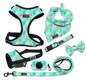 Harnais, collier et laisse pour chien, ensemble complet, imprimé étoile de mer vert menthe, personnalisable OEM, pour toutes les races de chiens et de chats - Product Image 1