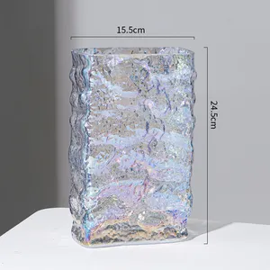 Nordic Minimalist INS Net Red Wind Desktop Decoration Decoration Transparent Glass Vase