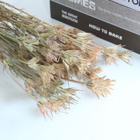 Bouquet de fleurs décoratives multicolores en nigelle et anis étoilé, fait main, longue durée (3-5 ans), idéal pour la maison et la fête des Mères
