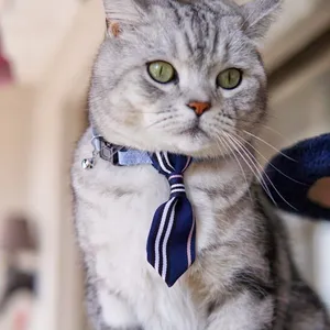 gatinho gravatas Suppliers-Gravata de pescoço para cachorro de gatinho, gravata pequena com laço ajustável para gatos e filhotes, acessórios para cachorros