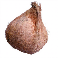 Machine automatique de décorticage et de pelage de noix de coco pour noix de coco jeunes et vieilles, haute efficacité, facile à utiliser, capacité de 1000 pièces/heure