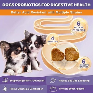Friandises à Mâcher Molles Probiotiques pour Animaux de Compagnie Marque Blanche – Renforcent le Système Immunitaire et la Santé Digestive des Chats – Mélange d'Enzymes et Huile de Poisson - Product Image 2