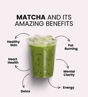 Kapsul Teh Hijau Pelangsing Matcha Seremonial Kompatibel Nespresso Label Pribadi OEM 10 Kapsul per Kotak