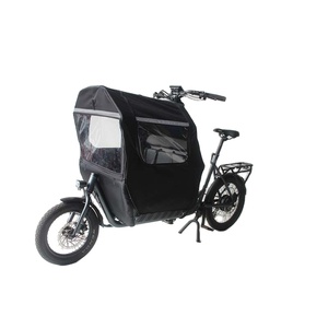 <span class=keywords><strong>Vélo</strong></span> cargo électrique familial à chargement frontal, livraison, <span class=keywords><strong>vélo</strong></span> cargo électrique à deux roues, petite taille, certification CE, 250w (prix du <span class=keywords><strong>vélo</strong></span> électrique uniquement) - Product Image 6