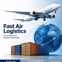 面向全球电子商务的优质航空快递解决方案