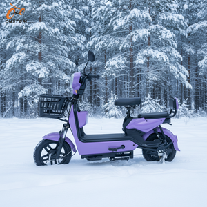 <span class=keywords><strong>จักรยาน</strong></span>ไฟฟ้าสำหรับผู้ใหญ่รุ่น OEM จากโรงงานที่คุ้มค่าที่สุดในปี 2026 - Product Image 1