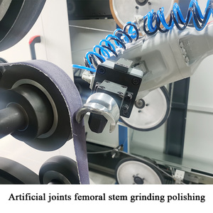 Máquina pulidora de molienda de alta precisión <span class=keywords><strong>para</strong></span> prótesis ortopédica de piernas extremidades artificiales pie prótesis pierna rodilla articulación - Product Image 4