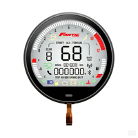 Pantalla LCD Monocromática Cuadrada o Redonda Personalizada con Modo de Visualización TN, STN, HTN, FSTN, Fábrica de Pantallas LCD Gráficas