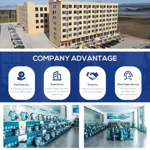 Pompes à eau submersibles de jardin monophasées de haute qualité 0,75 kW 1 CV 3 pouces - Product Image 5