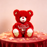 Ours en peluche tenant un cœur, ours en peluche pour la Saint-Valentin, jouet en peluche personnalisable, ours en peluche imprimé avec inscription d'amour, cadeau pour les amoureux, décoration
