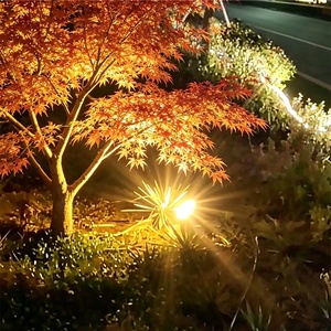 RGB colorato esterno impermeabile illuminazione dell'albero 50W giardino Led proiettore paesaggio pannocchia faretto AC220V luce di proiezione esterna - Product Image 2
