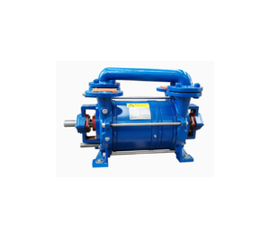 DLV 800 SS304 Ring Vacuum <b>Pump</b> Double Stage Bare - Product Image 1