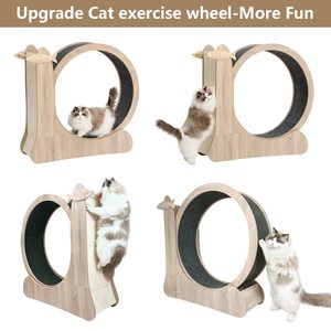 Jouet pour animaux de compagnie en bois Petdom, structure d'escalade, circuit circulaire pour chats, jouet interactif pour l'exercice et la course - Product Image 2