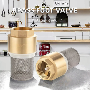 Heavy-Duty <span class=keywords><strong>Manual</strong></span> Brass dọc kiểm tra chân van với SS lọc cho Máy bơm nước - Product Image 2