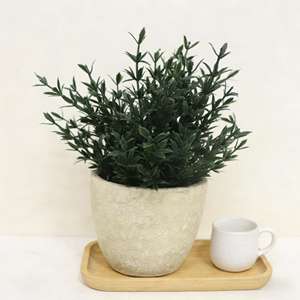 Mini plantes artificielles en petit pot en pulpe pour décoration intérieure, plante verte simulée en pot, petit ornement, <span class=keywords><strong>romarin</strong></span> - Product Image 5