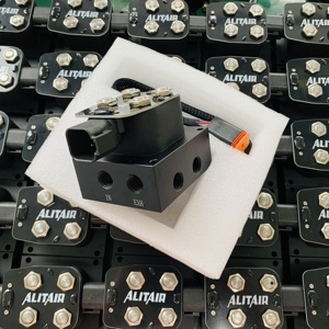 <span class=keywords><strong>Vannes</strong></span> à deux voies de type AA-VU2 ALITAIR pour suspension pneumatique AIR LIFT AIR SUSPENSION VALVE pour voiture, camion, remorque - Product Image 6