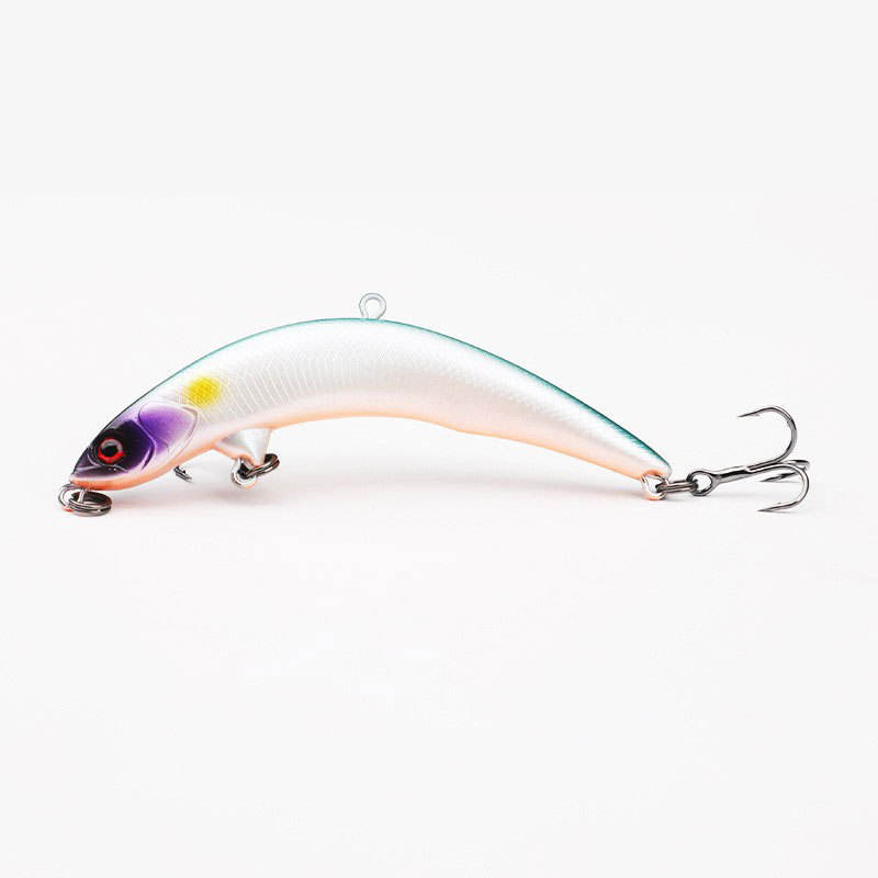 5 blue back-white belly