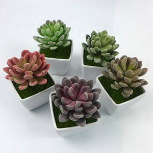 Real Touch Faux <span class=keywords><strong>Suculentas</strong></span> Artificial Echeveria <span class=keywords><strong>Suculentas</strong></span> Selecciones Cactus en verde flocado 3,33 "de ancho X 5" Plantas altas Cactus - Product Image 5
