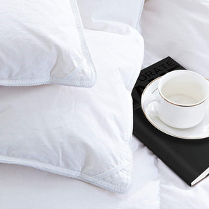 Couette en <span class=keywords><strong>duvet</strong></span> d'oie 100% coton, <span class=keywords><strong>duvet</strong></span> d'oie, couettes/oreillers, hôtel, plumes, offre spéciale, 400 fils - Product Image 5