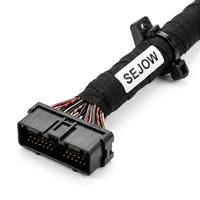 Arnés de Cableado Principal para Vehículo Autónomo SEJOW, Personalizado OEM, Integración de ECU Multibranco, IP67