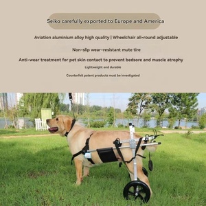 Usine directe moyen et grand chien fauteuil roulant voiture membre arrière réadaptation formation handicapé fauteuil roulant pour animaux de compagnie - Product Image 3