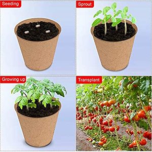 Pots à noix pour réfrigérateur, plateau d'semis <span class=keywords><strong>de</strong></span> jardin 100% écologique biodégradables, 102 paquets avec étiquette pour plantes - Product Image 6