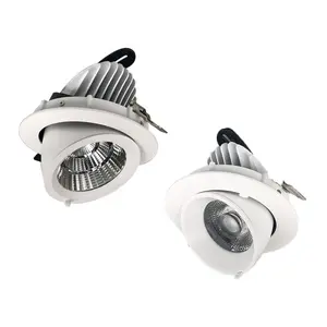 50000 Uur 97RA Hoge Kwaliteit 220V Verstelbare Led Spot Light Cob Plafond Downlight Trimless
