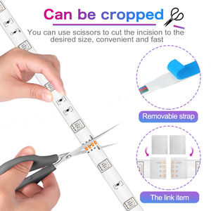 Proveedor Ali, Tira de Luces LED RGB de Color de Ensueño, Impermeable o No Impermeable, IP20 IP65, SMD5050, 14.4W, 12V CC - Product Image 5