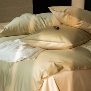 Copripiumino in Cotone a Fibra Lunga 100% di Alta Qualità, Semplice, a Doppio Strato, Quattro Pezzi, per Autunno e Inverno - Product Image 3