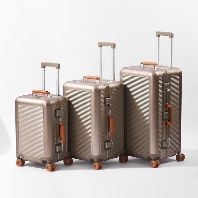 Light Weight Luxury Full Polycarbonate Hardside Carry-On Suitcase with 4-Lockable Spinner Wheels and TSA Combination Lock