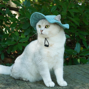 Chongtapet - Sombrero de vaquero monocromático para mascotas, sombrero de verano para gatos, para uso en exteriores - Product Image 1