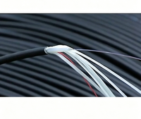 Kabel Drop Fiber Optik Single Mode 1 Core Indoor/Outdoor FTTH