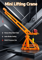 Mini-grue de levage portative en gros d'usine, cadre en acier épaissi, rotation à 360 degrés, capacité de levage de 200 kg