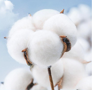 Giá Rẻ <span class=keywords><strong>T</strong></span>ùy Chỉnh <span class=keywords><strong>T</strong></span> Áo Sơ Mi Các Nhà Sản Xuấ<span class=keywords><strong>t</strong></span> Bán Buôn Nhiều Màu Sắc Thêu In Người Đàn Ông Trống Cộng Với Kích Thước Cá Nhân <span class=keywords><strong>T</strong></span> Áo Sơ Mi Trung Quốc Nhập Khẩu - Product Image 3